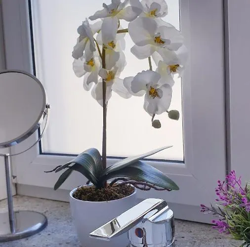 Wonderful 2-bedroom Belvedere Apartamento